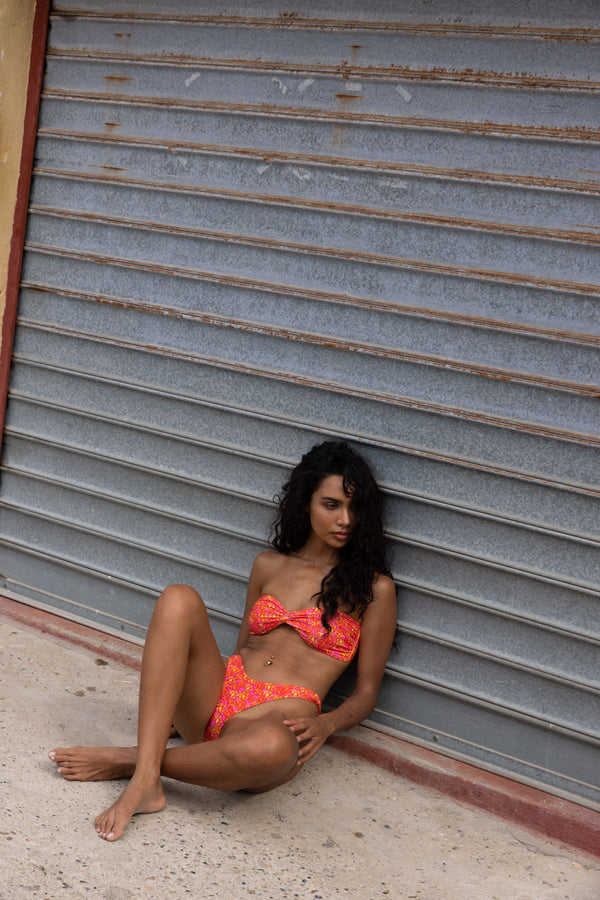 La Vie en Rose - Bandeau